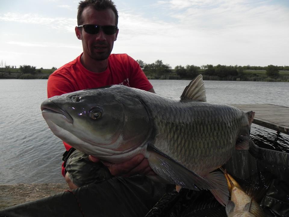 Tancabesti 31 aug- 7 sep  - 105278667238079276848343515627465445502697n.jpg